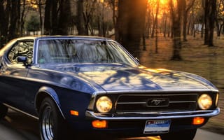 Картинка mustang, машины, мустанг