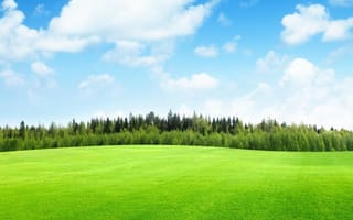 Картинка green field, природа, небо, зеленые, пейзаж, облака, лес, трава, поле