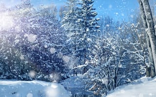 Картинка snowing hd, природа, зима, снег, деревья