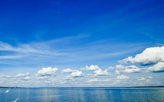 Картинка blue nature, природа, синие