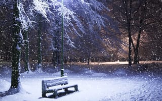 Картинка природа, зима, снег, деревья