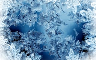 Картинка frosty pattern, синие, шаблон, зима, снег, стекло, лед, мороз