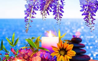 Картинка seko, sekoo