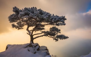 Картинка природа, пейзаж