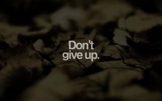 Картинка dont give up, поговорка, не