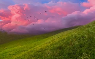 Картинка природа, пейзаж