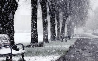 Картинка winter park, зима, дорога, деревья, парк, скамейка, снежные