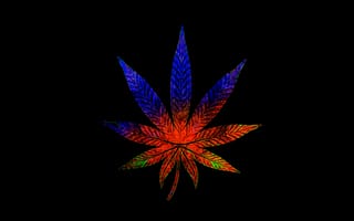 Картинка красочные