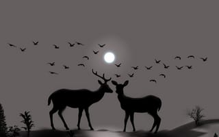 Картинка deers, wild animals 7, животные, дикие
