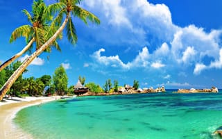 Картинка sunny beach, небо, вода, пляж, облака, океан, деревья, пальмы, солнечные