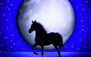Картинка horse blue, moon shine night, night horse, синие, ночь, луна, лошадь, сияние
