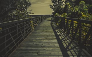 Картинка a walk alone, темные, деревья, одиночество, мост, прогулка