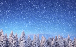 Картинка winter snowy, природа, зима, снег, дерево, снежные
