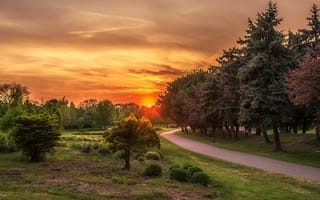 Картинка ontario, природа, солнце, деревья, канада