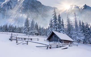 Картинка зима, снег, дерево, солнце, лес, горы, хижина