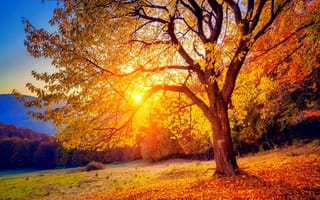 Картинка beautifdul, beautiful autumn, прекрасные, осень