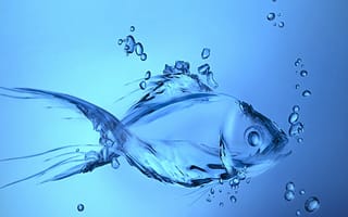 Картинка aqua fish, синие, вода, капли, рыба, брызги, аква