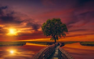 Картинка природа, пейзаж