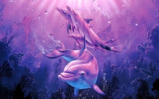 Картинка delfines