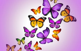 Картинка красочные, фиолетовые, бабочки