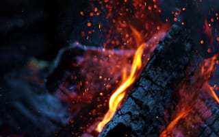 Картинка природа, красые, огонь, дерево, пламя, макро