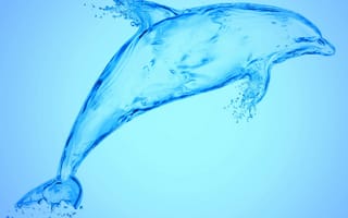 Картинка aqua dolphin, синие, вода, капли, брызги, дельфины, аква