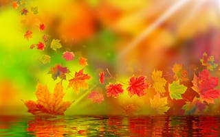 Картинка autumn scenery, nature leafs, природа, вода, осень, пейзаж, листья