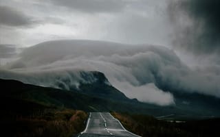 Картинка забавные, шотландия