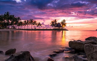 Картинка sunset paradise, море, закат, пляж, дерево, океан, тропические, рай, пальмы