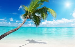 Картинка sand tropical, пляж, тропические, песок, рай, солнечный свет