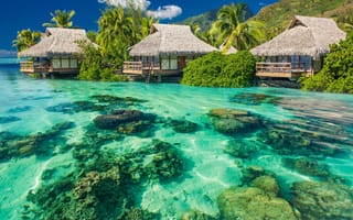 Картинка океан, лето, тропические, рай