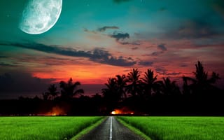 Картинка lost tropics, закат, дорога, солнце, тропические, рай, путь, пальмы, тропики