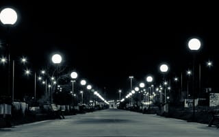 Картинка nikon, город, огни, парк, городской пейзаж