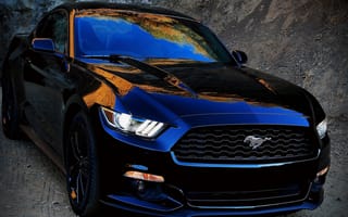 Картинка dark mustang, машины, темные, авто, суперкары, мустанг