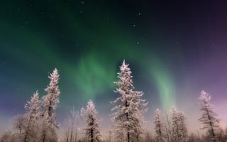 Картинка winter landscape, ночь, пейзаж, зима, аврора
