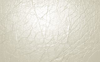 Картинка white leather, белые, кожа