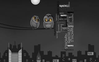 Картинка nightowls, дизайн, материал, сова