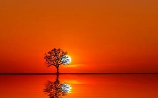 Картинка природа, закат, оранжевые
