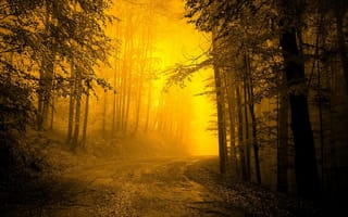 Картинка природа, пейзаж