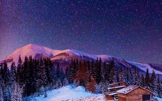 Картинка природа, ночь, пейзаж, зима, снег, лес, звездное