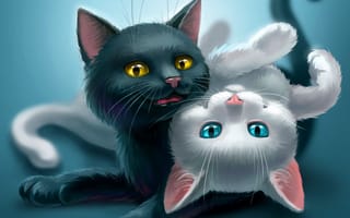 Картинка art, kitten art, абстрактные, черные, арт, белые, рисунки, котята