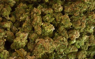 Картинка buds, листья, растения, бутон