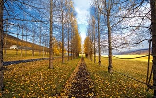 Картинка autumn way, природа, осень, листья, путь