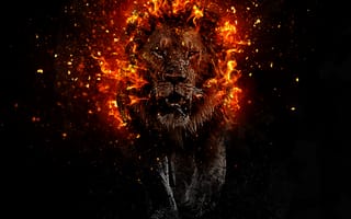 Картинка lava lion, огонь, лев, взрыв, лава