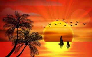 Картинка прекрасные, море, закат, тропические, рай, остров, пальмы, силуэт