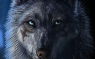 Картинка fantas, волк, лицо, животные