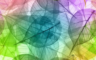 Картинка pastel colors, абстрактные, красочные, цветные, листья, пастельные, макро