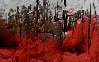 Картинка art, арт, дерево, рисунки, абстрактный