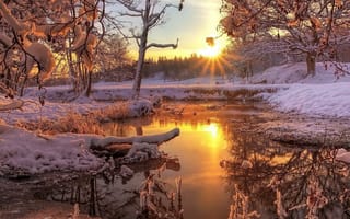 Картинка природа, пейзаж, зима, снег, восход, холодное