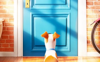 Картинка lock door, pets life, жизнь, собаки, блокировка, питомцы, дверь